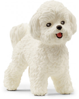 BICHON FRISE