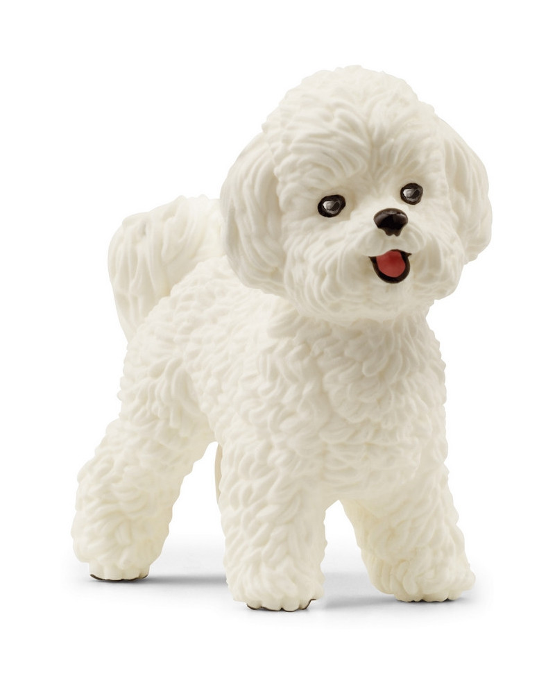 BICHON FRISE