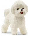 BICHON FRISE