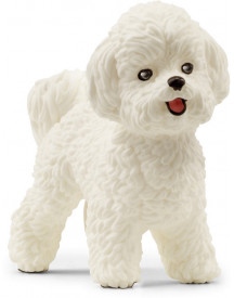 BICHON FRISE