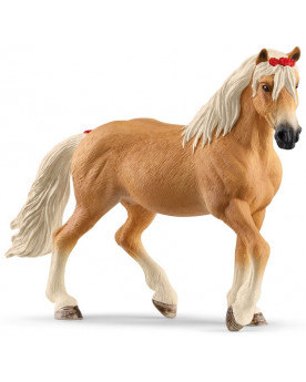 JUMENT HAFLINGER