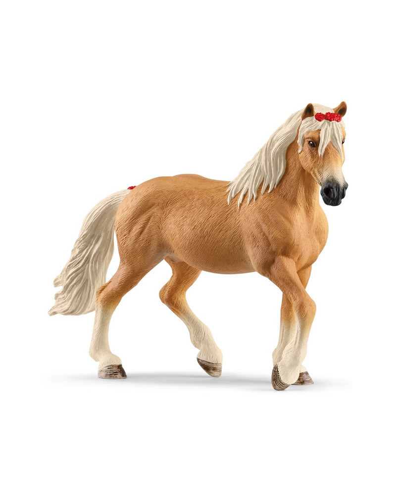 JUMENT HAFLINGER