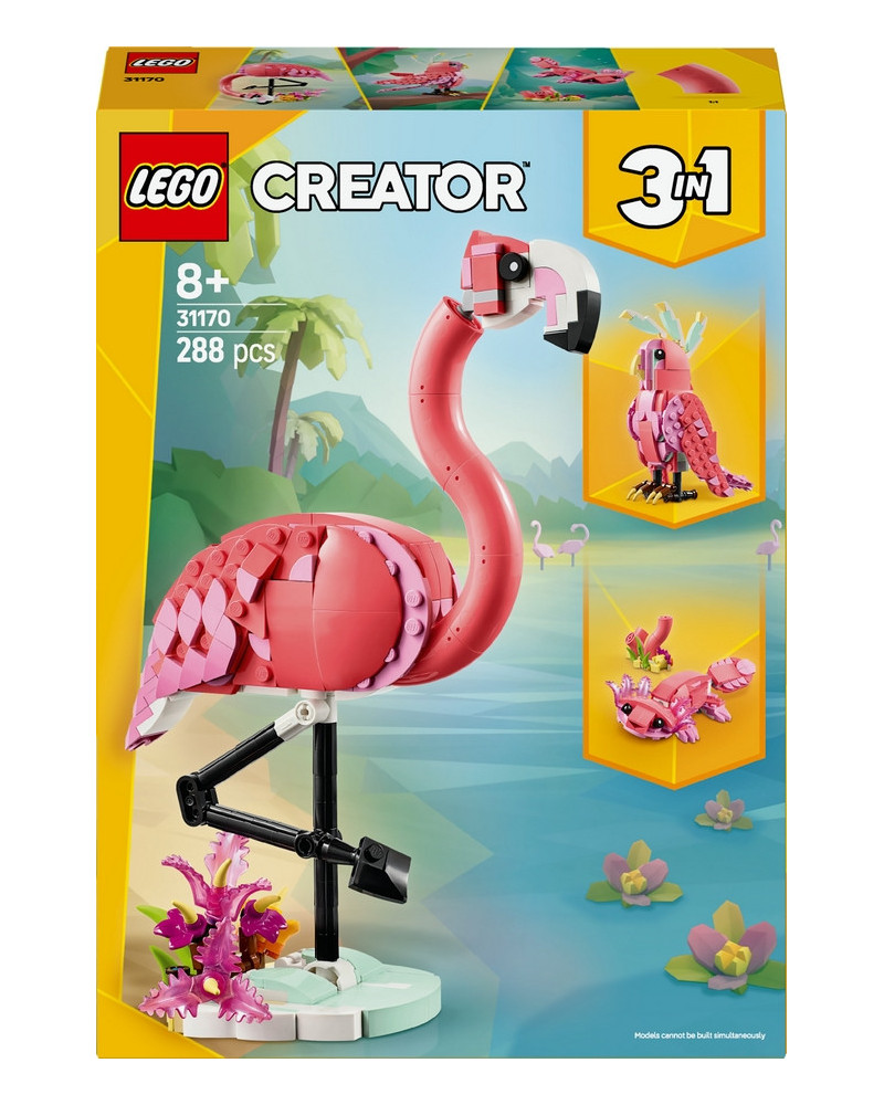 ANIMAUX SAUVAGES : LE FLAMANT ROSE