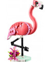 ANIMAUX SAUVAGES : LE FLAMANT ROSE