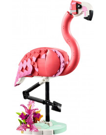 ANIMAUX SAUVAGES : LE FLAMANT ROSE