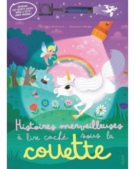 HISTOIRES MERVEILLEUSES A...