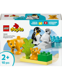FAMILLES D'ANI. SAUV.:PINGOUINS ET LIONS