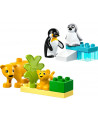 FAMILLES D'ANI. SAUV.:PINGOUINS ET LIONS