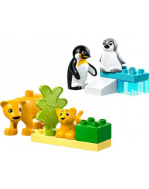 FAMILLES D'ANI. SAUV.:PINGOUINS ET LIONS