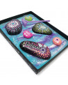 JARDEN ZEN COSMIQUE