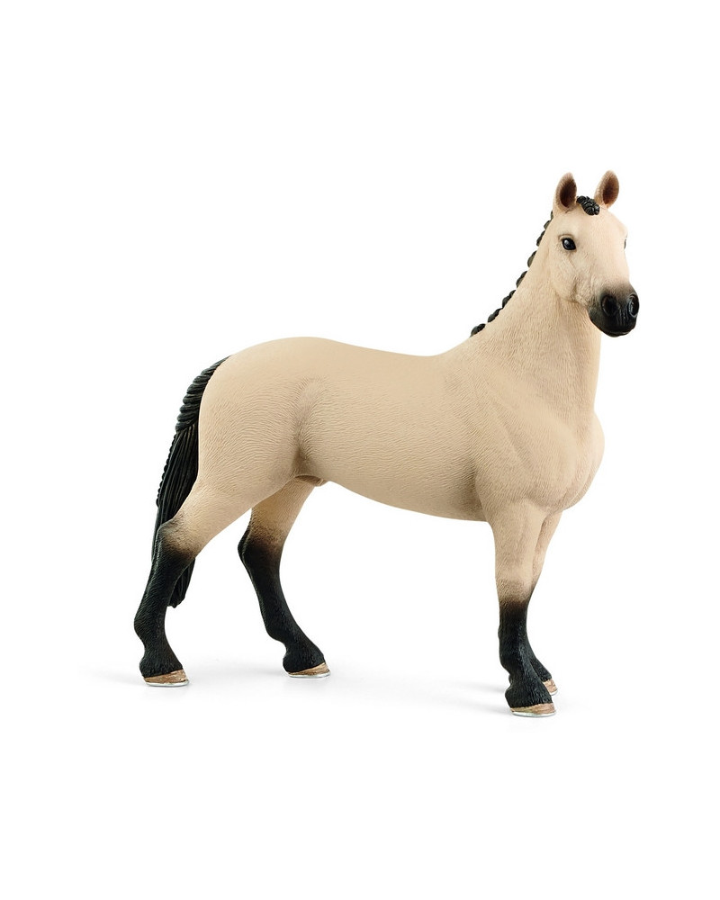 HONGRE HANOVRIEN AUBÈRE