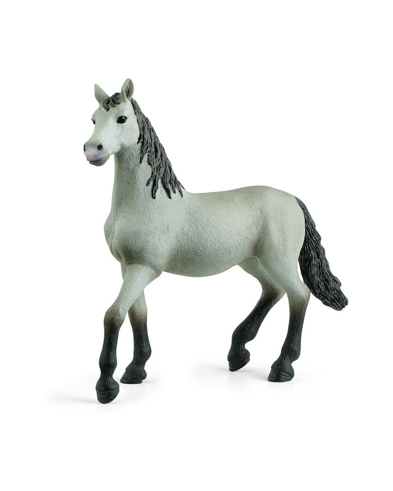 POULAIN PURE RACE ESPAGNOLE