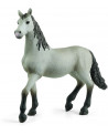 POULAIN PURE RACE ESPAGNOLE