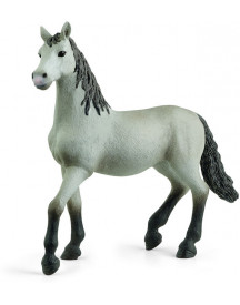 POULAIN PURE RACE ESPAGNOLE
