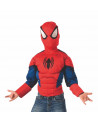 TOP&MASQUE LUXE SPIDERMAN