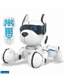 MON CHIEN ROBOT SAVANT