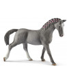 JUMENT TRAKEHNEN