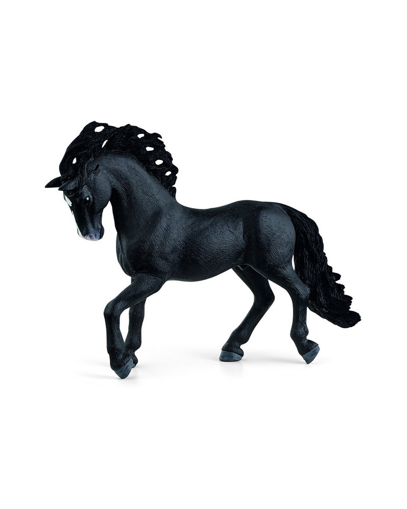 ETALON PURE RACE ESPAGNOLE