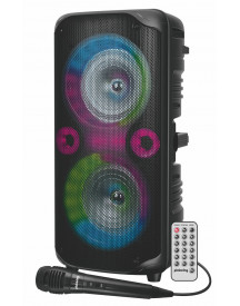 ENCEINTE 52CM BOOMERS + ANNEAUX LUM.+MIC