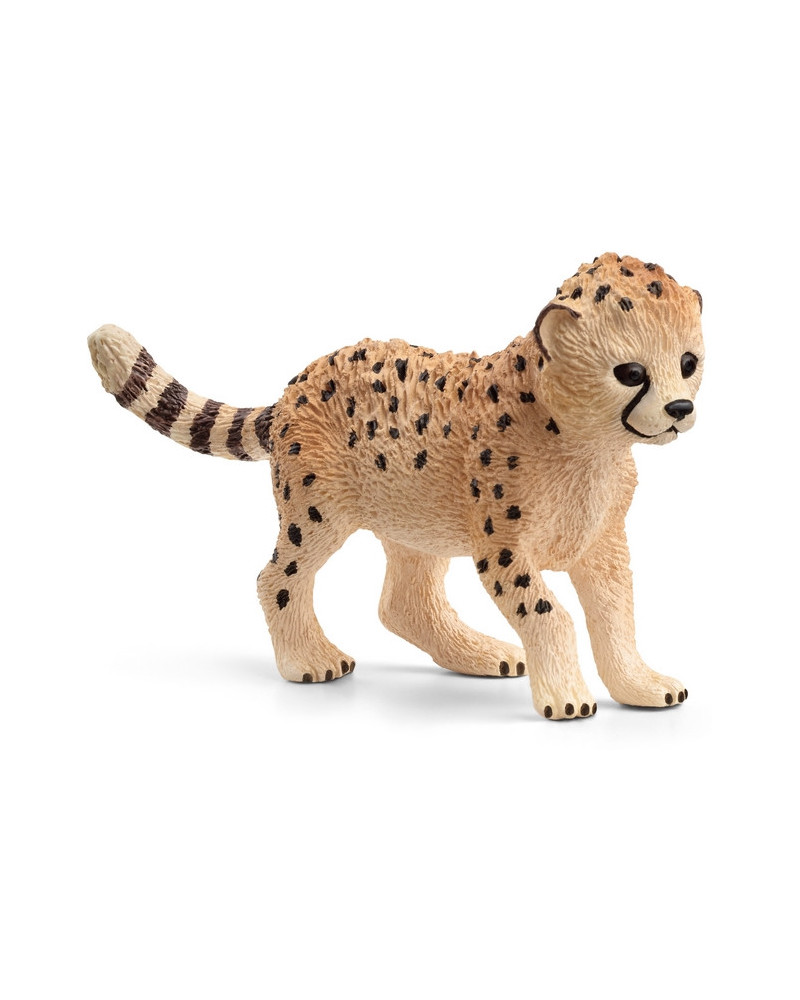 BEBE GUEPARD