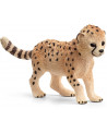 BEBE GUEPARD