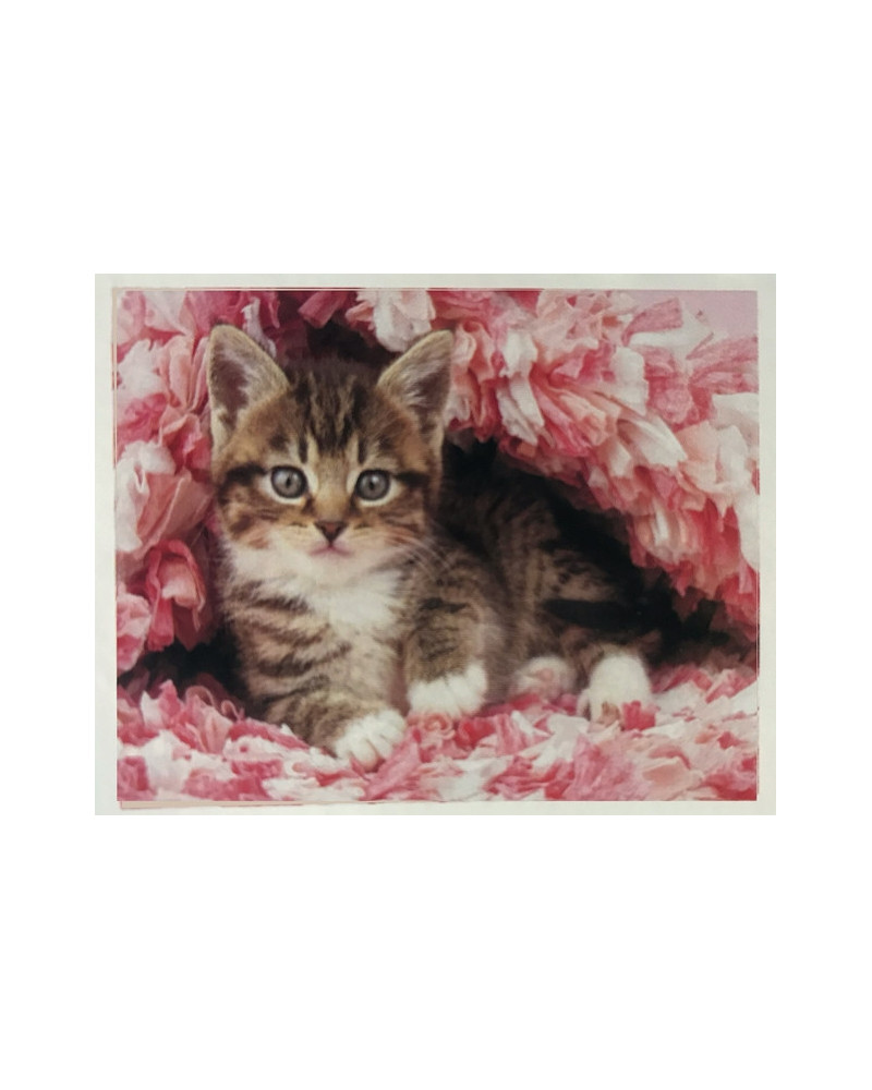 PPN 40X50 CHATON ENROBE