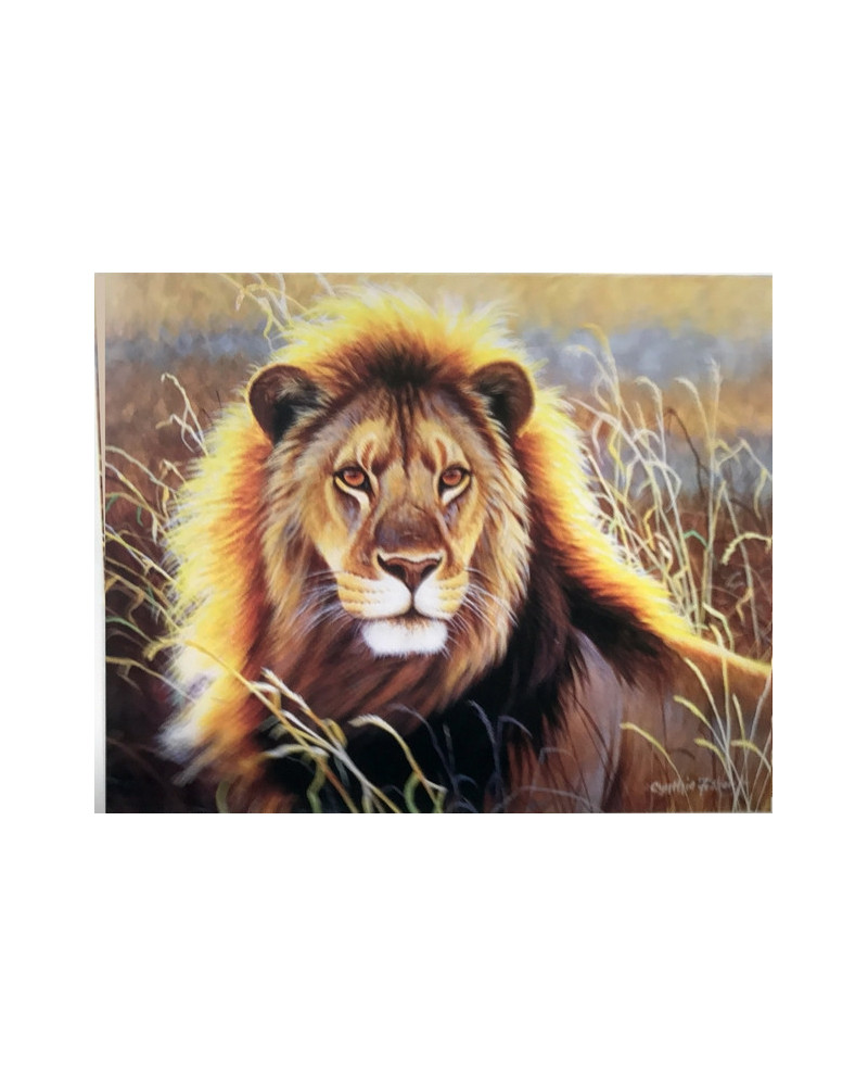 PPN 40X50 LION DANS LA SAVANE + CHASSIS