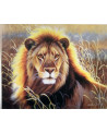 PPN 40X50 LION DANS LA SAVANE + CHASSIS