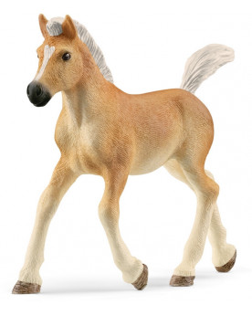 POULAIN HAFLINGER
