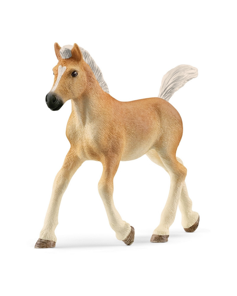 POULAIN HAFLINGER