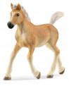 POULAIN HAFLINGER