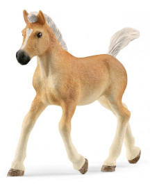POULAIN HAFLINGER