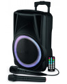 TROLLEY ENCEINTE BOOMER 31CM 2 MICROS TE