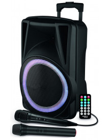 TROLLEY ENCEINTE BOOMER 31CM 2 MICROS TE