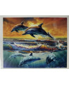 PPN 40X50 AUBE DES DAUPHINS