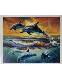 PPN 40X50 AUBE DES DAUPHINS