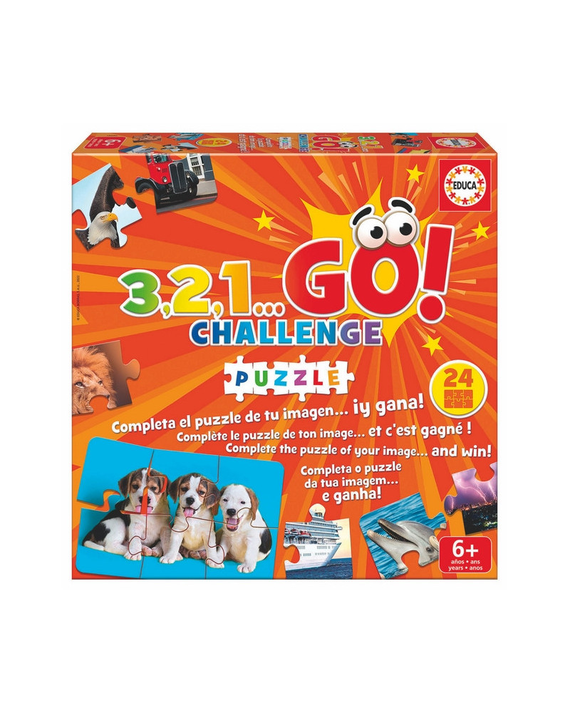 3.2.1. GO CHALLENGE PUZZLE