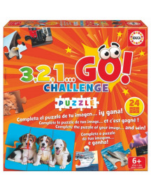 3.2.1. GO CHALLENGE PUZZLE
