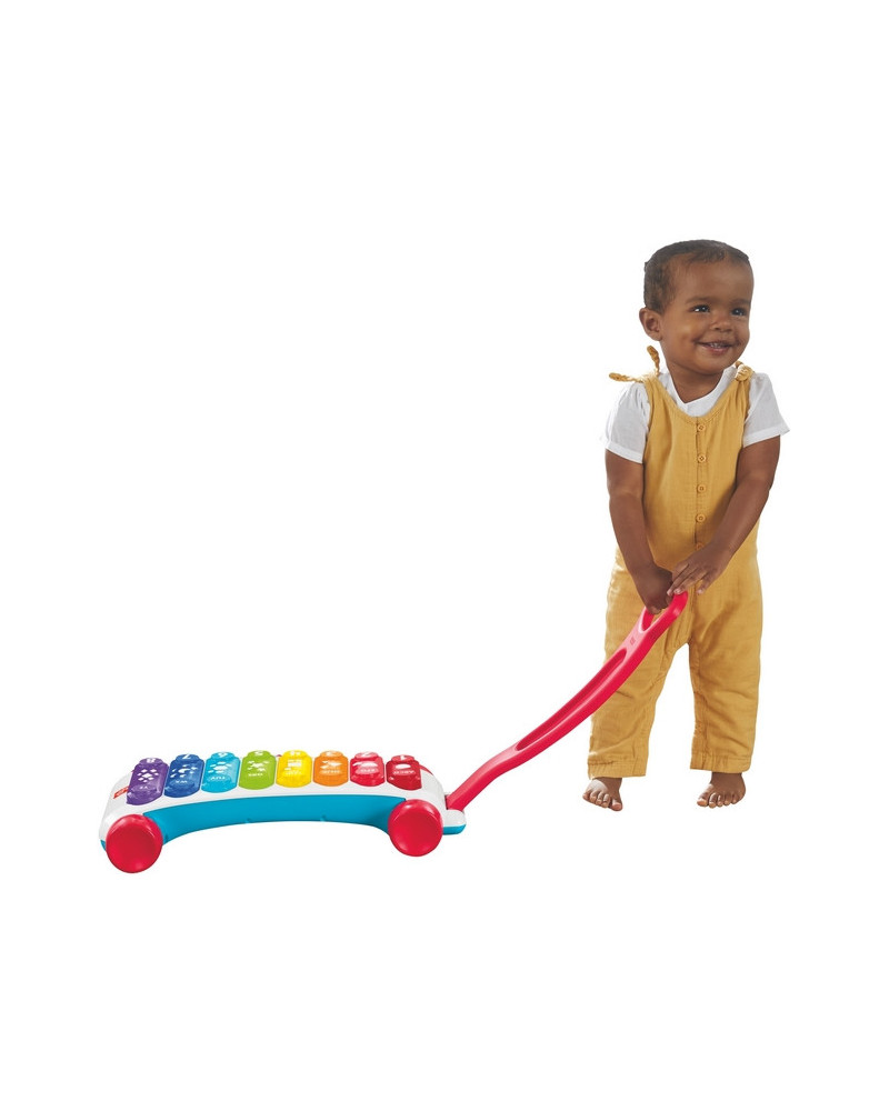 XYLOPHONE GEANT