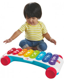 XYLOPHONE GEANT