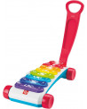 XYLOPHONE GEANT