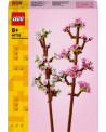 LES FLEURS DE CERISIER