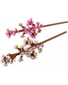 LES FLEURS DE CERISIER