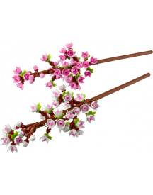 LES FLEURS DE CERISIER