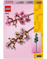 LES FLEURS DE CERISIER