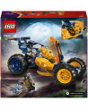 LE BUGGY TOUT-TERRAIN NINJA D'ARIN