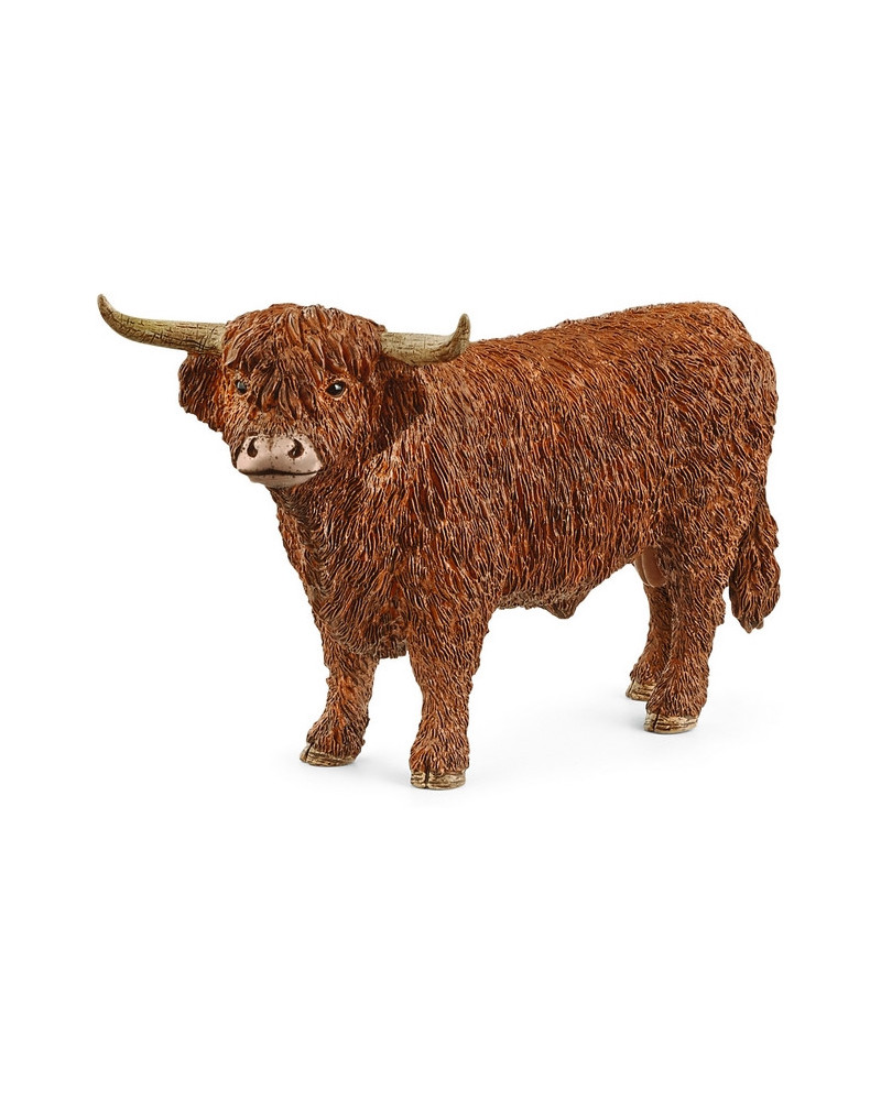 TAUREAU HIGHLAND