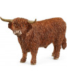TAUREAU HIGHLAND