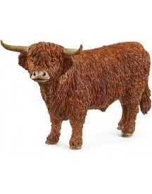 TAUREAU HIGHLAND