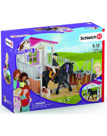 BOX POUR CHEVAUX + TORI+PRINCESS